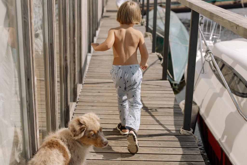 Safety Measures for Children and Pets on Docks